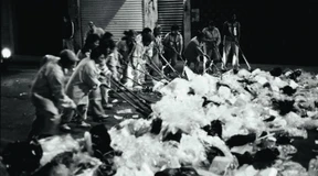 Nicht ohne dieses Provisorium