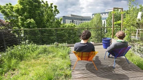 Grüne Dächer gegen die Hitze in der Stadt