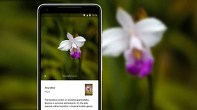 Googles Bild-Suchmaschine