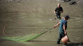 Feuerwehr lässt Badesee nach Schildkrötenbiss ab