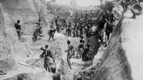 Sadismus unter Palmen