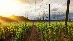 „Genuss für alle Sinne“