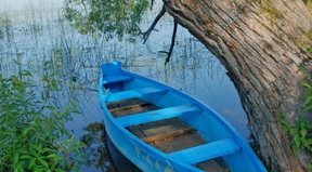 Zeitlebens auf der Suche nach Schönheit