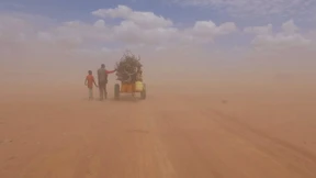 Pferde (und Leute) auf der Flucht