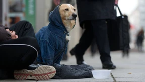 „Wir wollen Agility machen, nicht der Hund“