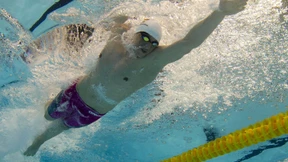 Biedermann und der misslungene Anschlag