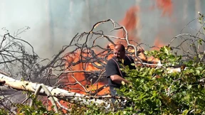 Waldbrand in der Nähe von Königstein