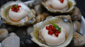 Vor dem Kochen in die Wildnis