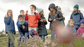 Grüne Soße für Drittklässler