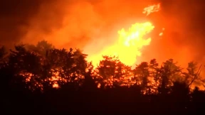 Waldbrände verwüsten Südkorea