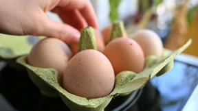 Droht ein Eier-Engpass vor Ostern?