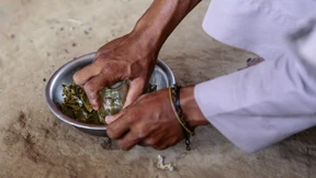 Klimawandel gefährdet Kampf gegen Hunger