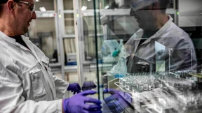 Verschweigt Bayer Risiken von Iberogast?