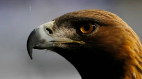 Sieg, Niederlage, Unentschieden – was passiert, wenn?