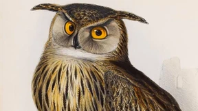 In handlicher Faltung