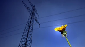 FDP-Wirtschaftsminister will EEG abschaffen 