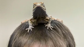 Für den einen Moment Dezember 2014