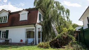 Hoffentlich Windstärke 8