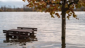 Regen und tauender Schnee lassen Wasserstände steigen