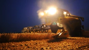 Rentabel und umstritten