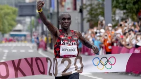 Ohne Bäume geht’s nicht