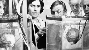 Juwelier der Ewigkeit