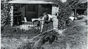 Buridans Esel und die Pferdezucht