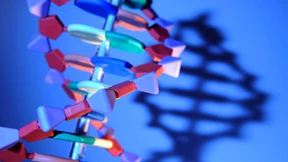 Dieses Fleckchen Materie