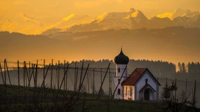 Dieser Kniff mit dem Licht