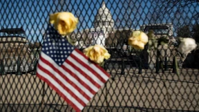 Einblick in eine fremde Welt