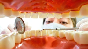 Von Serienschreiben bis Sexologie 