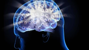 Jetzt sagt der Präsident der deutschen Informatiker, was zu tun ist