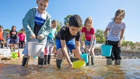 Ausgestorbener Wanderfisch soll in den Rhein zurückkehren