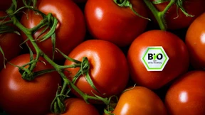 Neue App verspricht Durchblick bei Lebensmittel-Labeln