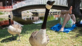 Wenn die Politik die Waffe zückt