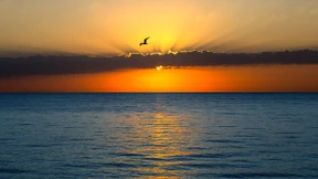 Florida muss Küste doch nicht für Ölbohrungen öffnen