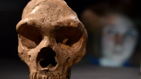 Die „Rembrandts der Paläontologie“ 