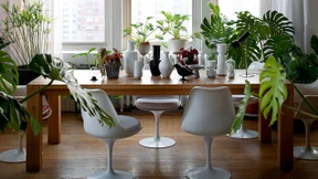 Geliebt, verpönt und wiederentdeckt