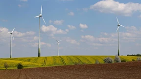 Wald als „Industrieanlage“