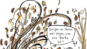 Von Laubbläsern und Harken