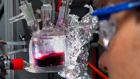 Die Natur als Vorbild für schnellere Synthesen