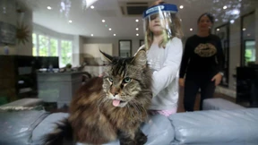 Schmusen bleibt virenfrei