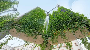 Schwebendes Grün für die Großstadt