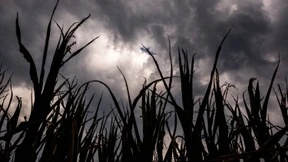 Trotz Unwetter kein Ende der Hitzewelle in Sicht