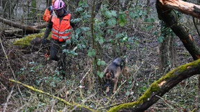 Toten Virusträgern auf der Spur