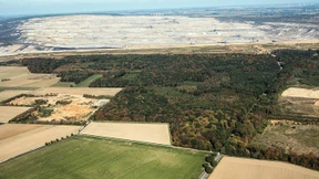 RWE wird Hambacher Forst nicht einzäunen