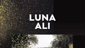 Die Diktatur der Angst