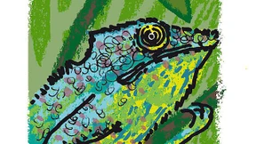 Als kleinste Ente Afrikas im Schweizer Regenwald