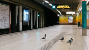 Wo am Dienstag keine Busse und Bahnen fahren