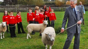 Zwischen Zeitvertreib und Zubrot